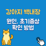 강아지-백내장